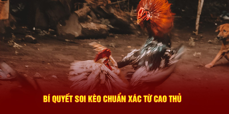 Bỏ túi bí quyết soi kèo về bờ chuẩn xác từ cao thủ