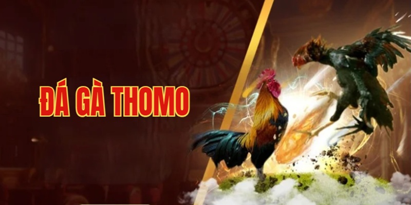 đá gà thomo